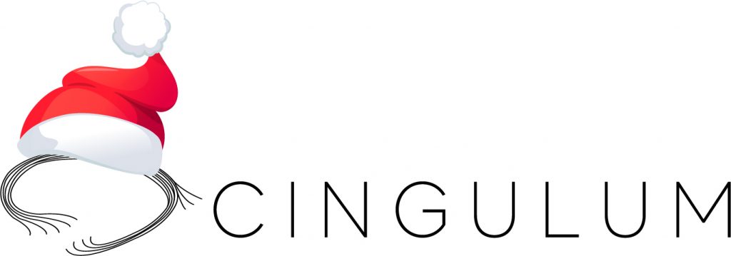 Cingulum-Nisselue-Logo
